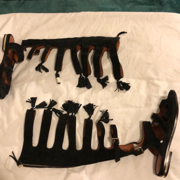 Suede Tall Gladiator Sandals - Picture 1 of 4